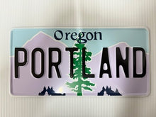 Load image into Gallery viewer, US Style Pressed Metal Plates