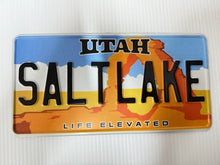 Load image into Gallery viewer, US Style Pressed Metal Plates