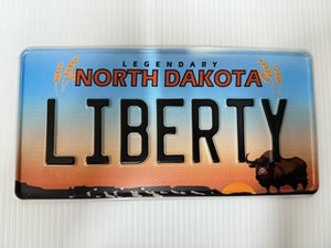 US Style Pressed Metal Plates