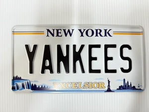 US Style Pressed Metal Plates